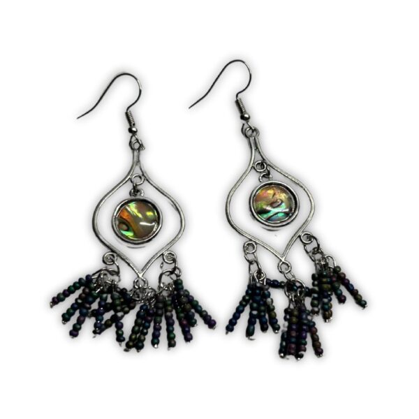 Psychadelic Tassle Beaded Earrings
